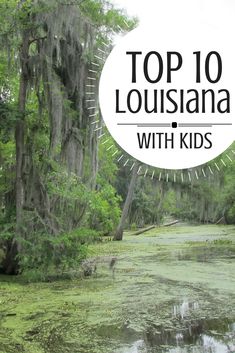 the top 10 things to do in louisiana with kids