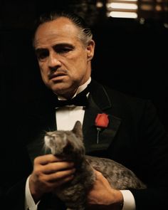 a man in a tuxedo holding a cat