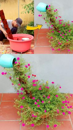 a man is watering flowers in a pink flower pot on the side of a building