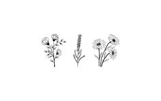 three different types of flowers are shown in this black and white photo, one is drawn on