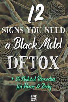 Black Mold Symptoms, Clean Black Mold, Detox Your Home, Cleaning Mold, Natural Antibiotics