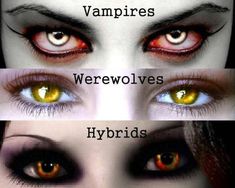 four different colored eyes with the words werewolvess, hyrrids and mermaids