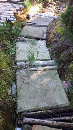 a stone path in the woods with grass growing on it