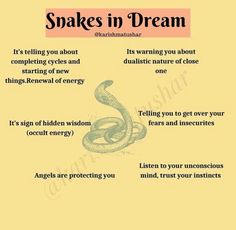 snakes in dream poster with the words, it's telling you about competing and duality of energy