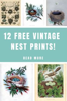 twelve vintage nest prints with text overlay that reads, 12 free vintage nest prints read more