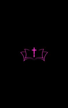 the cross is on top of an open book with pink lines in front of it