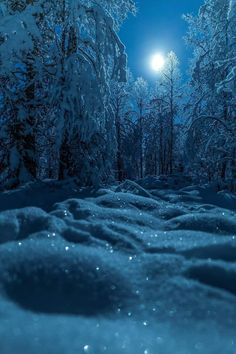 snow covered ground with trees and the moon in the sky above it at night time