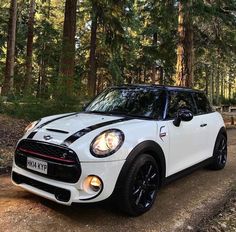 a white mini cooper parked in the woods