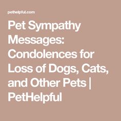 Pet Sympathy Messages: Condolences for Loss of Dogs, Cats, and Other Pets | PetHelpful Sympathy Cards For Men, Diy Sympathy Cards, Quotes Sympathy, Words Of Condolence, Handmade Sympathy Cards, Sympathy Card Sayings, Bereavement Quotes, Stampin Up Sympathy Cards, Pet Condolences