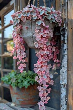 pink flowers are hanging from the side of a wooden building with potted plants on it