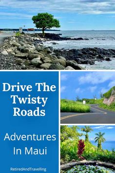 the cover of drive the twisty roads adventures in mauai, with images of trees and water