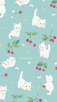 cats and cherries on a light blue background with cherry branches in the foreground