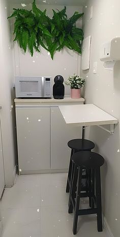 a small kitchen with white cabinets and plants on the wall above the bar stools