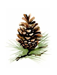 a pine cone sitting on top of a green branch