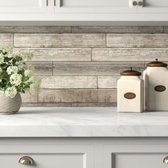 a kitchen counter with two jars and a potted plant