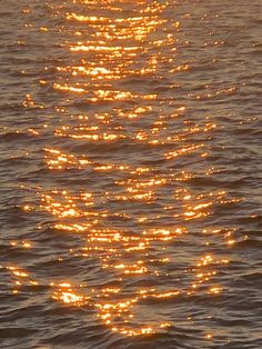 May 6, 2020 - This Pin was discovered by r a c h e l 🎧. Discover (and save!) your own Pins on Pinterest Golden Hour Summer Aesthetic, Golden Water Aesthetic, Orange Water Aesthetic, Golden Aesthetic Background, Golden Summer Aesthetic, Theseus Aesthetic, Hemera Aesthetic, Gold Hour Aesthetic, Golden Light Aesthetic