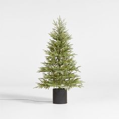 Decorate your entryway, kid's room or studio apartment with the distinctive beauty of the Norway spruce. Our pre-lit Christmas tree recreates the weeping branches and dark green foliage—stiff leaves that only resemble pine needles—of the Norwegian botanical, with bendable branchlets that can be adjusted for the most lifelike look. Hundreds of soft white lights illuminate the diminutive tree and your winter decor. To complete the naturalistic look, cover the base of the tree with one of our tree Norway Spruce, Frosted Christmas Tree, Faux Olive Tree, Tree Collar, Pre Lit Christmas Tree, Led Tree, Entryway Console, Jade Plants, Potted Trees