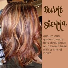 Burnt sienna - Auburn & golden blonde throughout on a brown base with a hint of violet Red And Blonde, Rambut Brunette, Copper Hair Color, Hair Color Auburn, Hair Color And Cut, Auburn Hair, Hair Fall, Fall Hair Color, Hair Inspiration Color