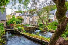 a river running through a lush green forest filled with lots of trees and buildings in the background