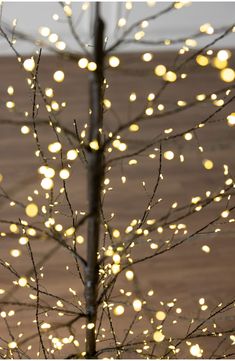 a tree with lights on it in the middle of a wooden floored area next to a wall