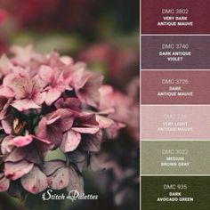 a bunch of flowers that are in some color swatches with the names on them