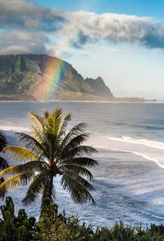 a rainbow shines in the sky over an ocean with palm trees and mountains behind it