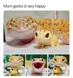 an image of a gecko with its mouth open and tongue out in front of it