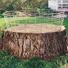 a basket sitting on top of a tree stump