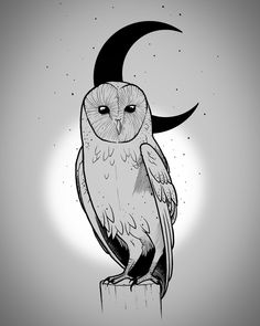 an owl sitting on top of a wooden post with the moon in the sky behind it