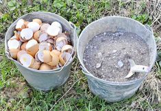 two buckets filled with dirt and shells sitting on the ground next to each other