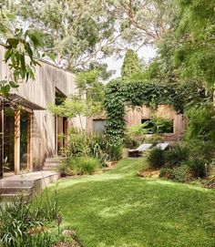 an outdoor garden with lots of green grass