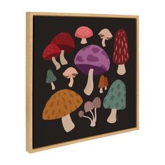 an image of colorful mushrooms on black background framed in wooden frame with natural wood backing