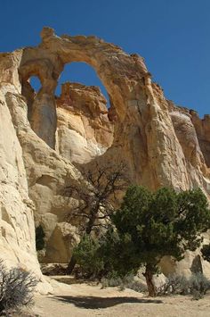 an arch in the side of a mountain with trees growing out of it's sides