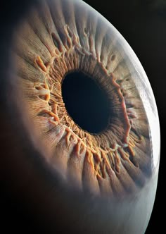 an eyeball is shown with the iris partially open and visible to see it's surroundings