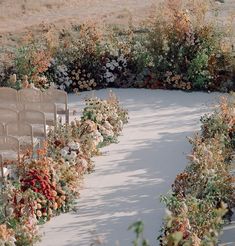 a row of chairs sitting next to each other in front of flowers and plants on the ground