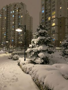 snow covered trees and street lights in front of apartment buildings on a snowy day at night