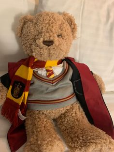 a brown teddy bear wearing a harry potter shirt and scarf, sitting on a bed