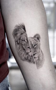 a lion and cub tattoo on the arm