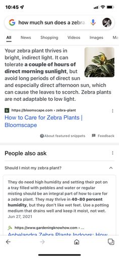 two screenshots with text on them and an image of plants in the background