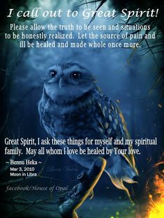 an owl sitting on top of a tree branch with the words, i fall out to great spirit