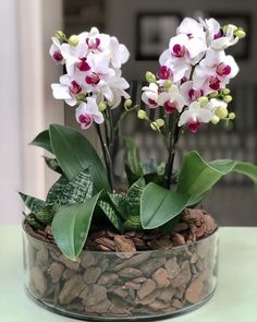 some white and pink flowers are in a glass vase on a table with rocks, pebbles and green leaves