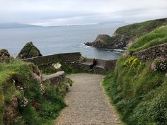 there is a path leading to the ocean with flowers growing all over it and some rocks on either side