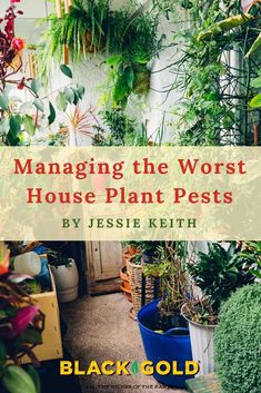 the cover of managing the worst house plant pests