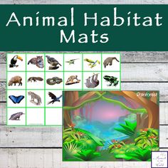 an animal habitat mat with pictures of different animals