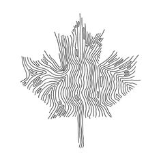 a black and white drawing of a leaf with wavy lines on the leaves, as if it were an abstract piece of art