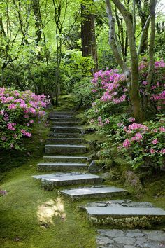 the steps lead up to pink flowers in the woods