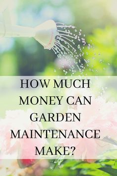 the words how much money can garden maintenance make? on top of pink flowers and green leaves