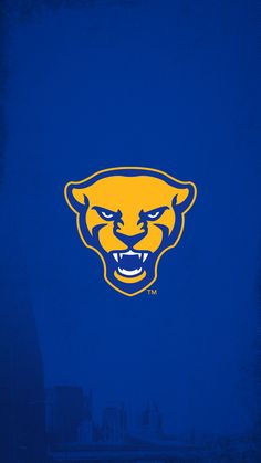 the university of missouri logo on a blue background