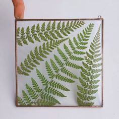 a hand holding up a pressed glass frame with a fern leaf design on the front