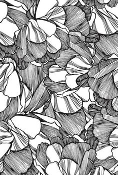 a black and white drawing of flowers